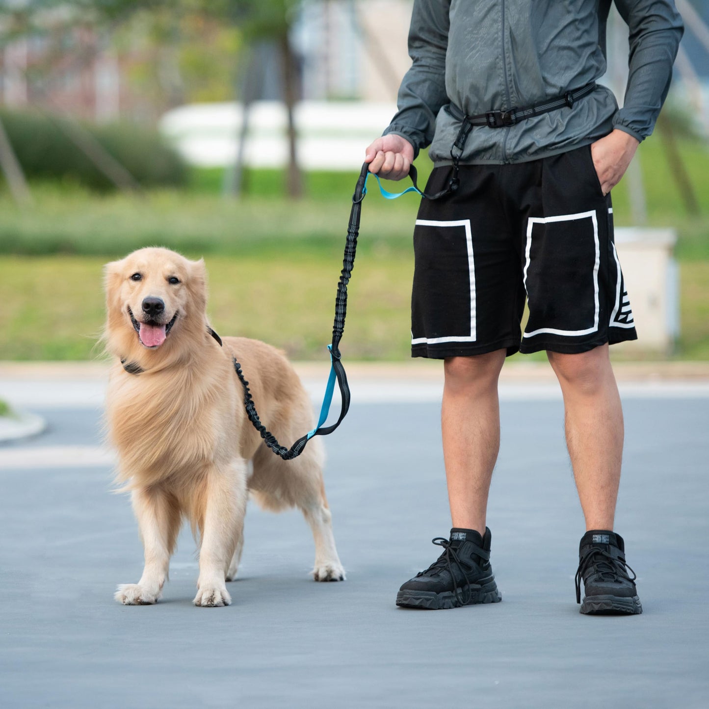 iYoShop Hands Free Dog Leash with Zipper Pouch, Dual Padded Handles and Durable Bungee for Walking, Jogging and Running Your Dog (Large, 25-120 lbs, Black)